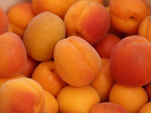 Egész évben sárgabarack