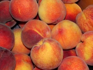 8 dolog, amit jó tudni az őszibarackról