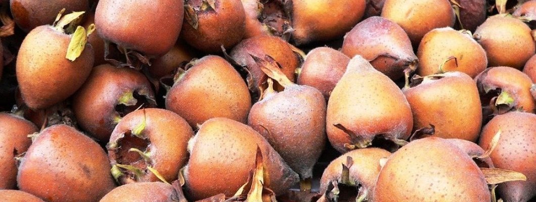 Üvegben a királyi konyhák csemegéje Üvegben a királyi konyhák csemegéje