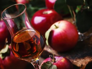 Hogyan kell inni a pálinkát?